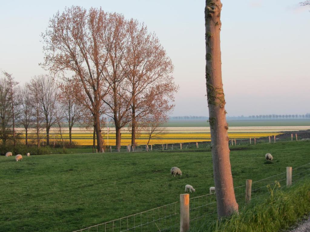 Bed En Breakfast In Het Fruit Zuidoostbeemster Bagian luar foto